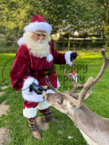 père noel professionnel morbihan france