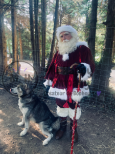 père noel professionnel morbihan france