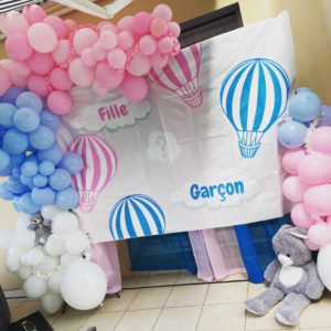 organisation gender reveal party vannes morbihan bretagne loire atlantique