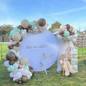 gender reveal arche de ballons organisation évènement vannes Lorient Morbihan