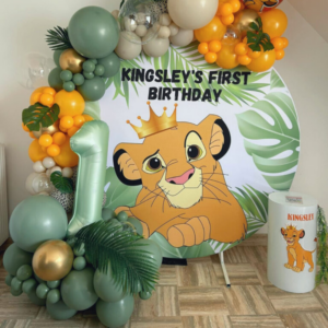 anniversaire à thème harry potter Disney princesse mickey le roi lion