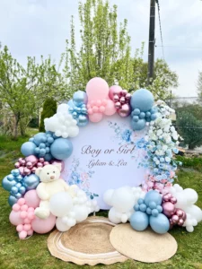 Gender reveal Party Baby shower location Buzzer location gender reveal party canon confettis canons poudre France