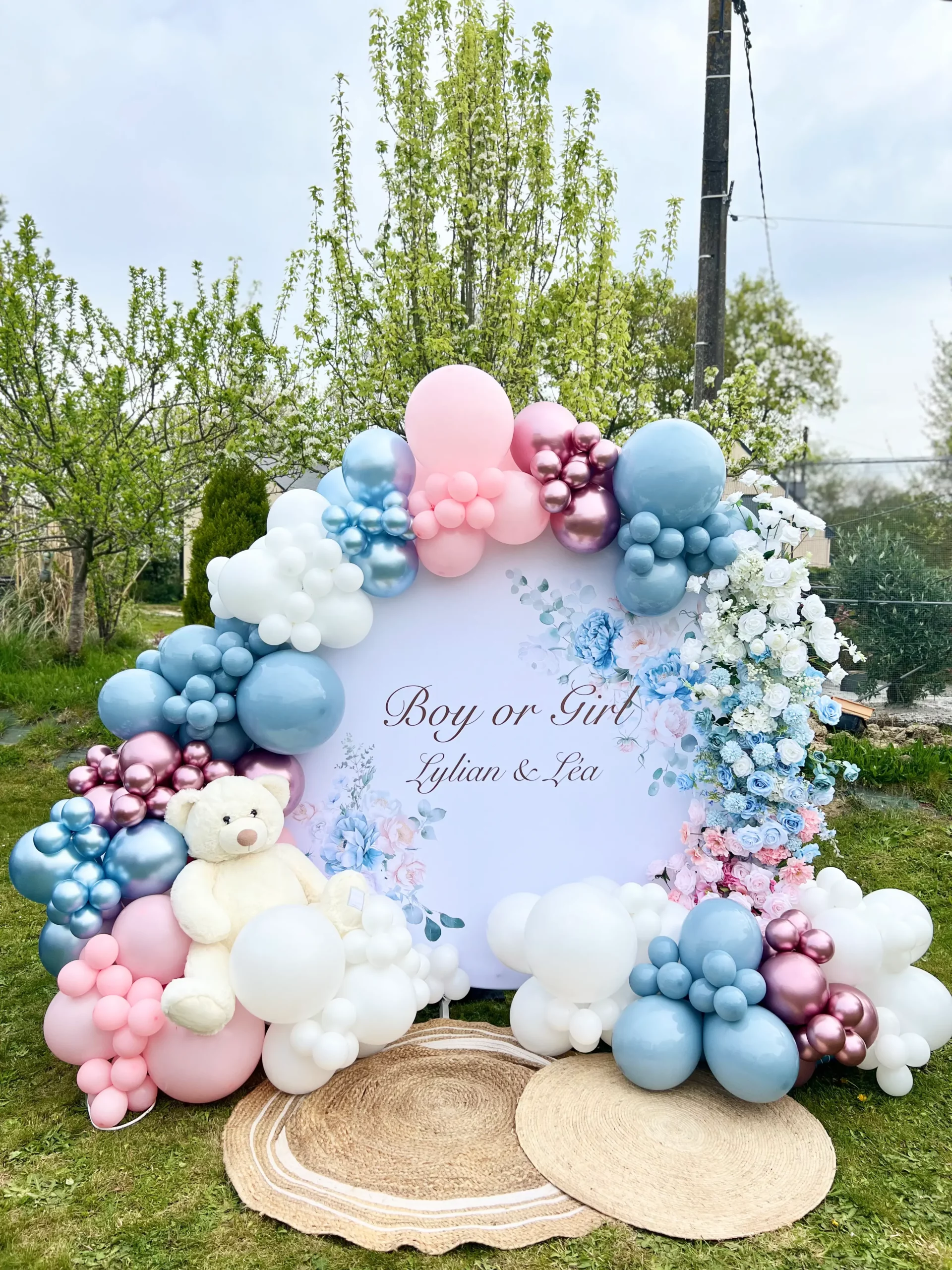 Gender reveal Party Baby shower location Buzzer location gender reveal party canon confettis canons poudre France