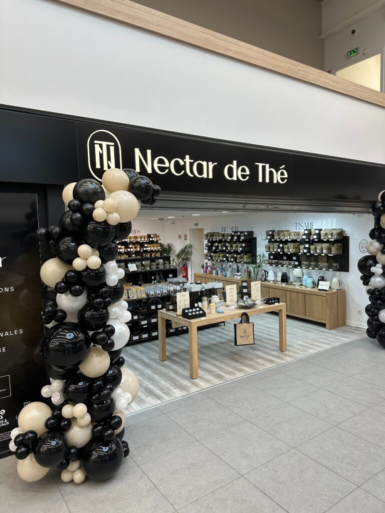 rche de ballons professionnel arche de ballons animation ballon Bretagne pays de la loire ile de France