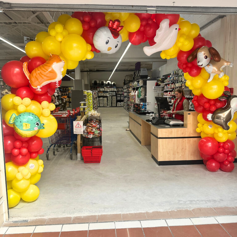 rche de ballons professionnel arche de ballons animation ballon Bretagne pays de la loire ile de France