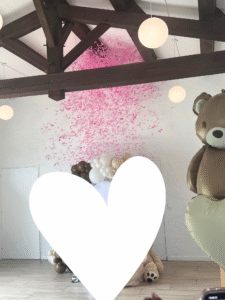 gender reveal confetti location buzzer