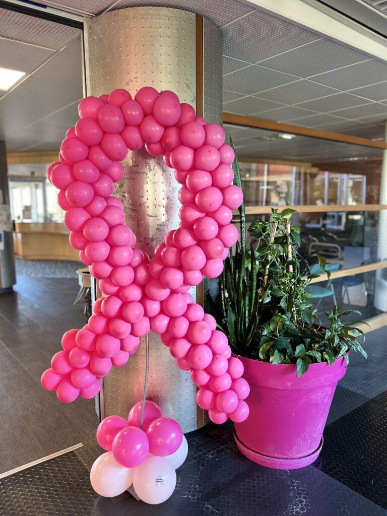 octobre rose ballon octobre rose noeud octobre rose